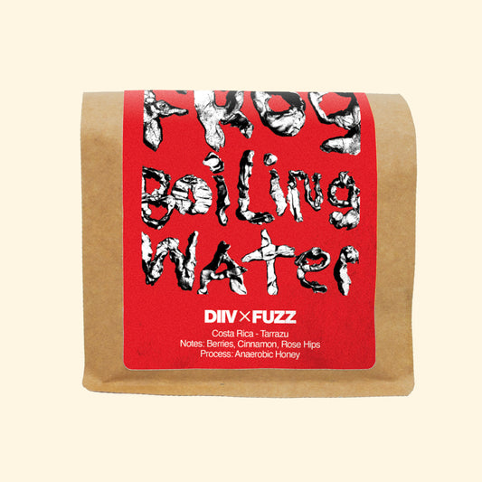 'Frog In Boiling Water' | DIIV X Fuzz (PRE-ORDER)